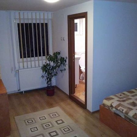 Casa Bradul Verde Bran  Dış mekan fotoğraf