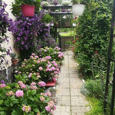 Casa Bradul Verde Bran  Dış mekan fotoğraf