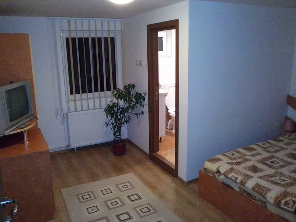 Casa Bradul Verde Bran  Dış mekan fotoğraf
