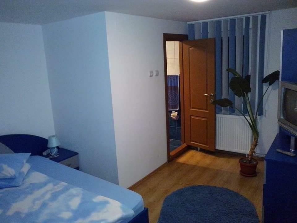 Casa Bradul Verde Bran  Dış mekan fotoğraf