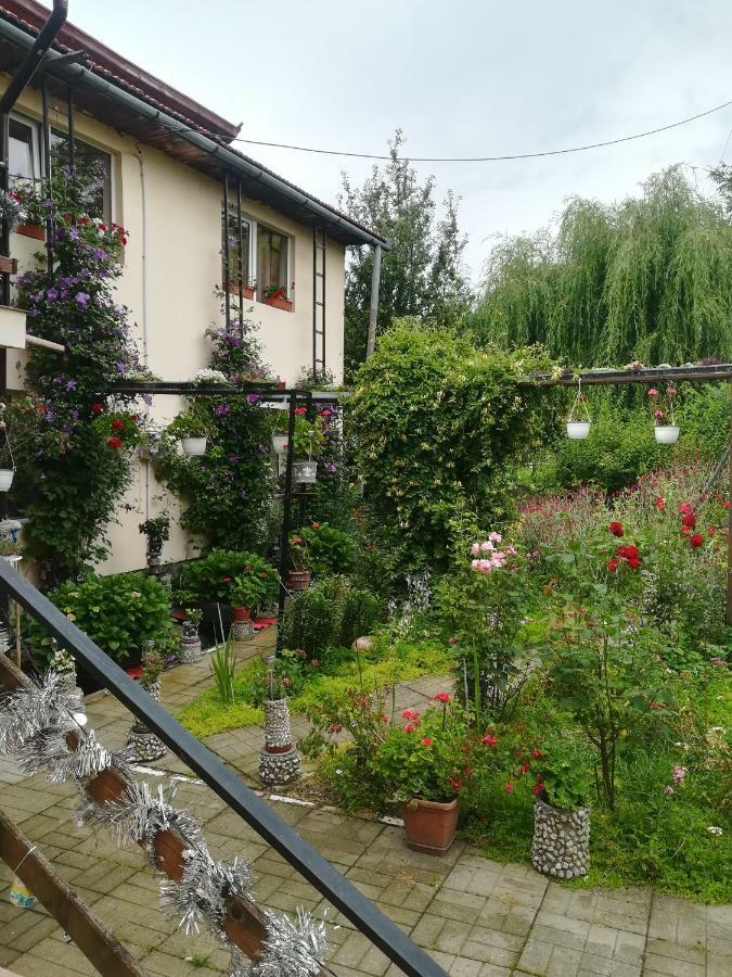 Casa Bradul Verde Bran  Dış mekan fotoğraf
