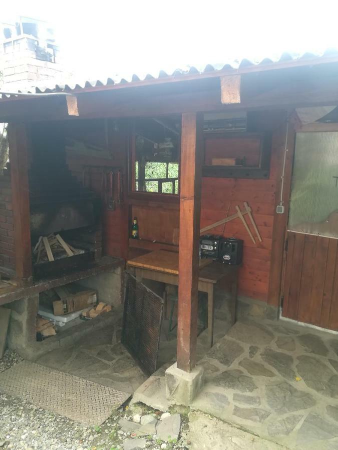 Casa Bradul Verde Bran  Dış mekan fotoğraf