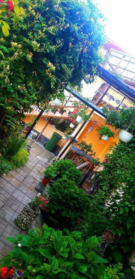 Casa Bradul Verde Bran  Dış mekan fotoğraf