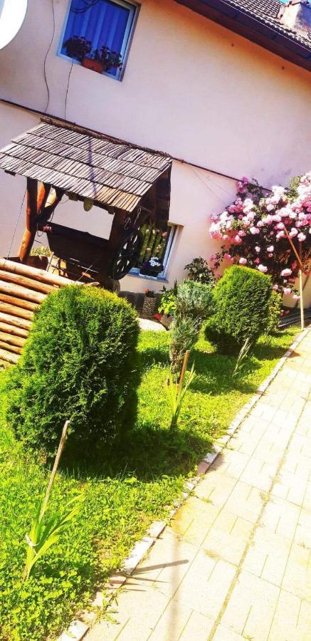 Casa Bradul Verde Bran  Dış mekan fotoğraf