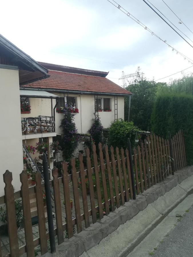 Casa Bradul Verde Bran  Dış mekan fotoğraf
