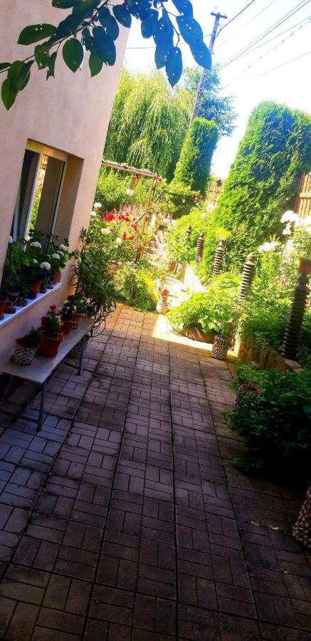 Casa Bradul Verde Bran  Dış mekan fotoğraf