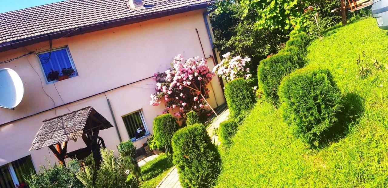Casa Bradul Verde Bran  Dış mekan fotoğraf