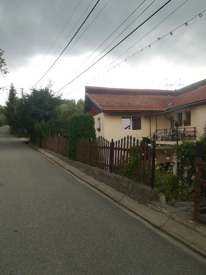 Casa Bradul Verde Bran  Dış mekan fotoğraf